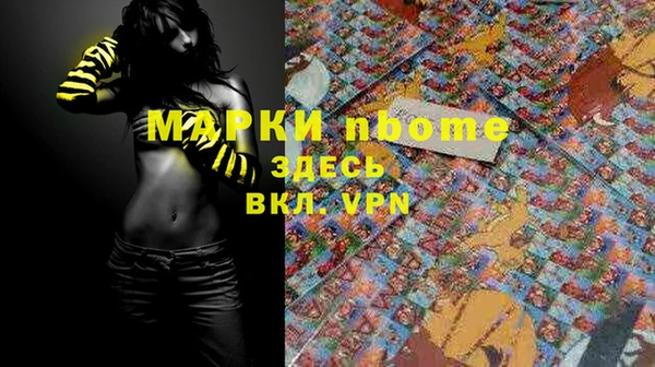 стафф Алзамай