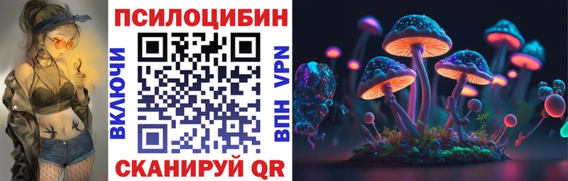 Галлюциногенные грибы Psilocybe  Любим 