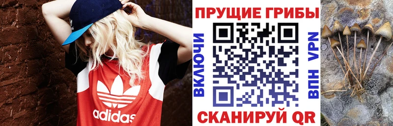 Псилоцибиновые грибы мухоморы Любим