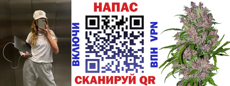 Шишки марихуана сатива это Telegram Любим сколько стоит
